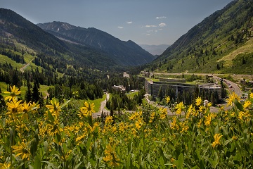 Cliff lodge down canyon